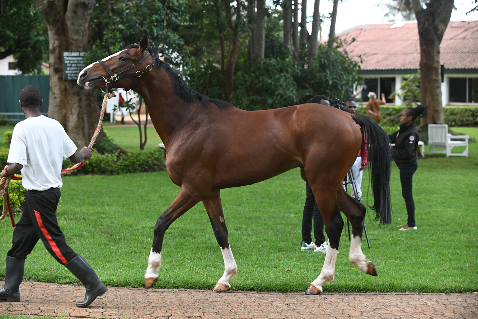 Uhuru Cup at Ngong Racecourse and Sports Complex